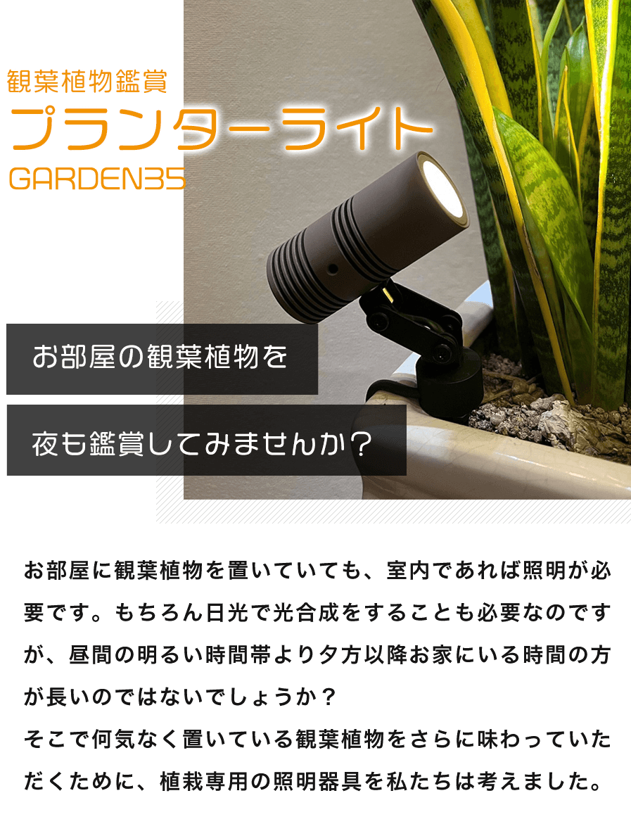 観葉植物鑑賞プランターライト | RIeV
