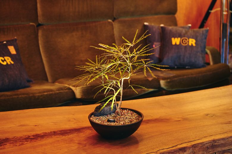 CASE 01｜カフェ空間