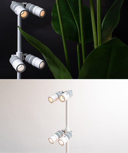 BOTANICAL35イメージ